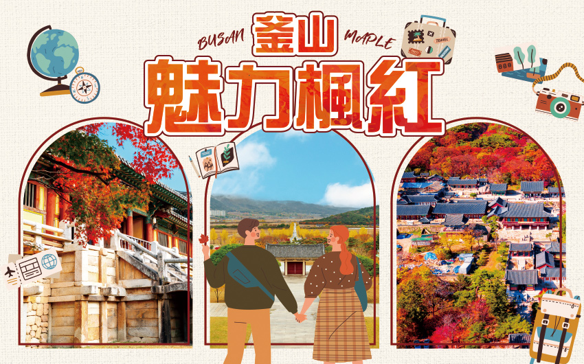 楓迷精彩釜山5日